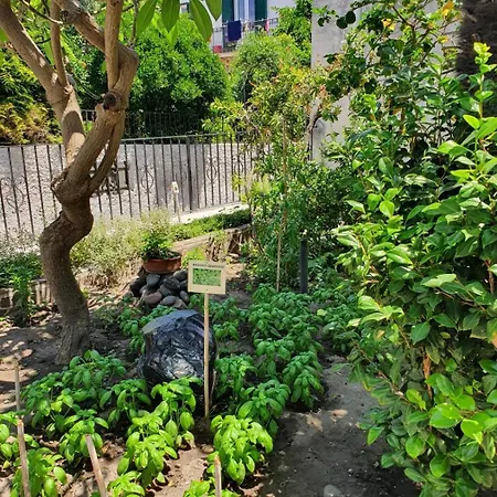 Casa Dafne Città di Lipari